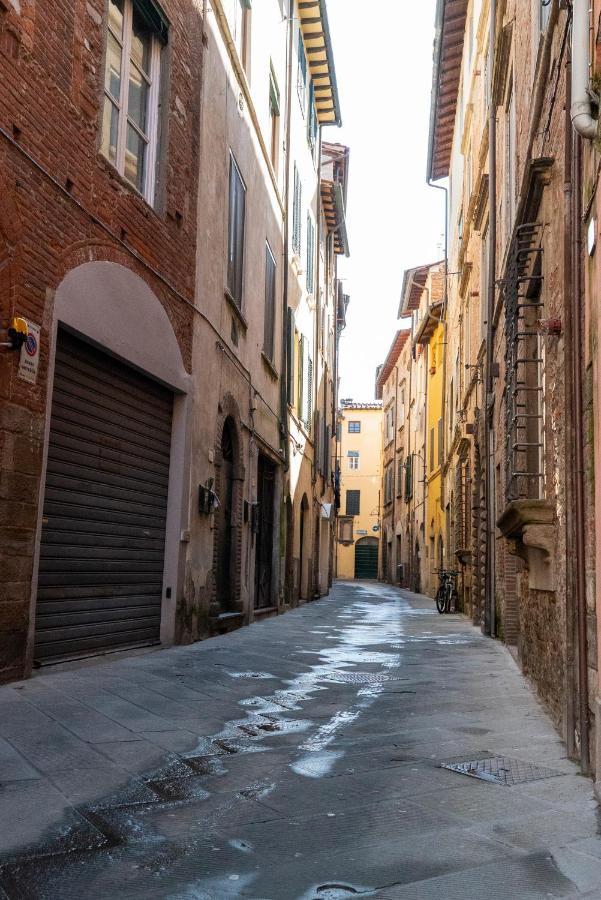 Antica Pelleria